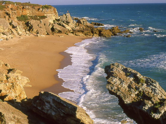 Cala Los Roches