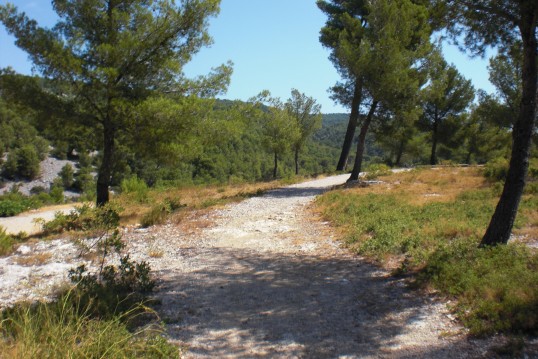 Sendero a La Ciotat Foto: Lucie Demontis