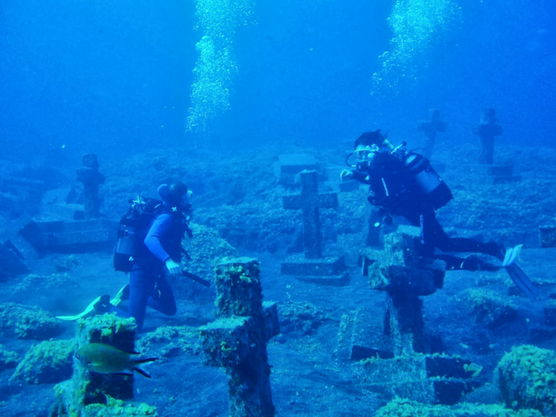 Los mejores lugares para hacer snorkel y submarinismo