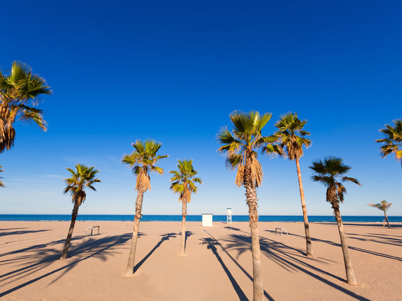 alojamientos-gandia-playa