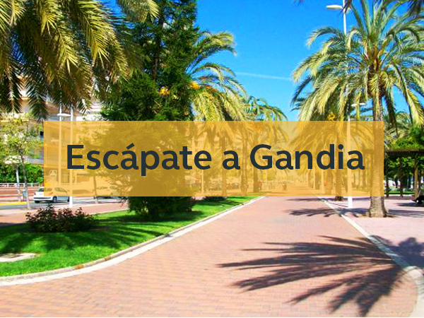 apartamento en gandia con piscina