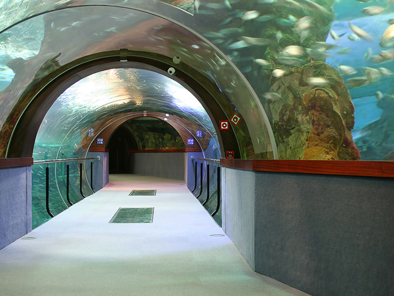 acuario de san sebastian