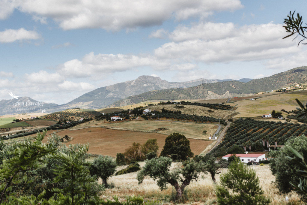 Ana Corrales Pizarra paisaje