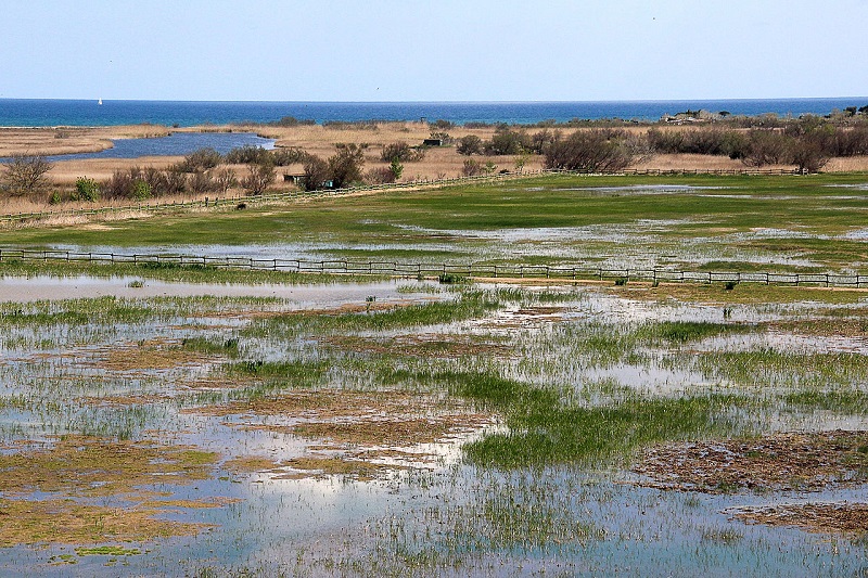 Parque Natural Aiguamolls Empordà