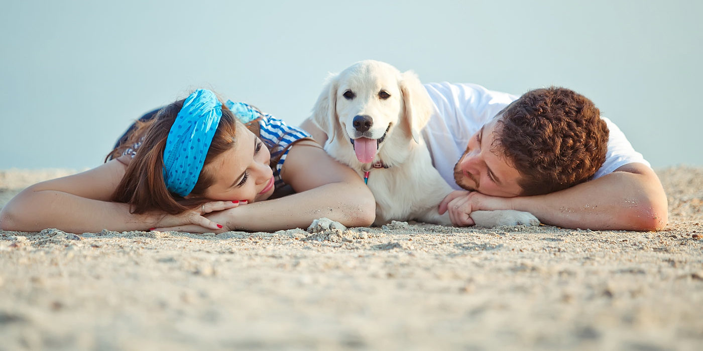 Perro familia playa