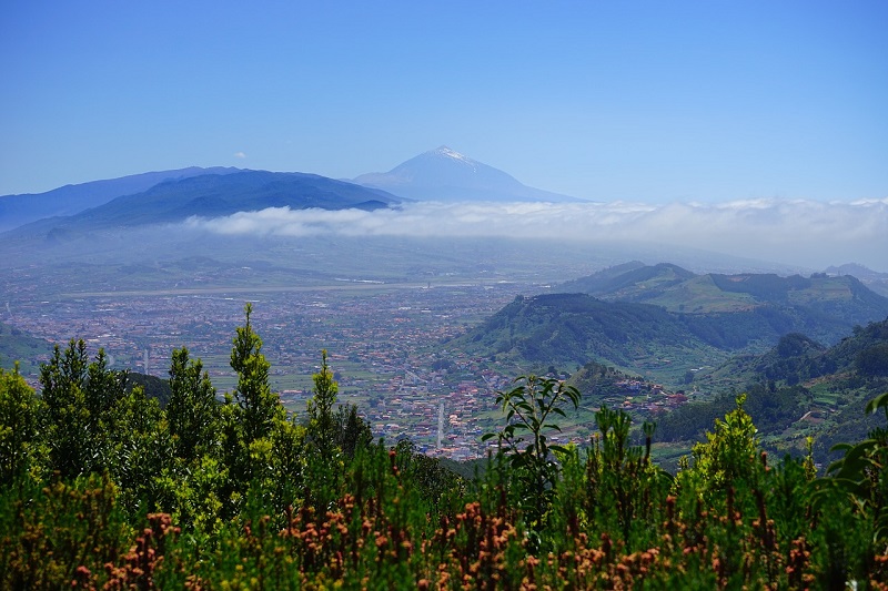 Tenerife Teide Canarias
