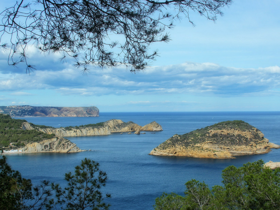 buceo en denia: isla