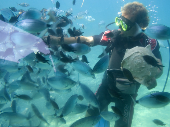 buceo_en_denia_muchosol_1