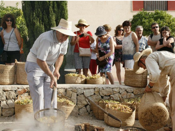 curiosidades de Denia