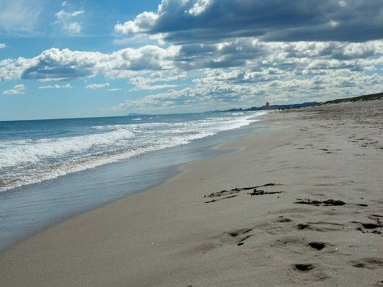 playas de valencia