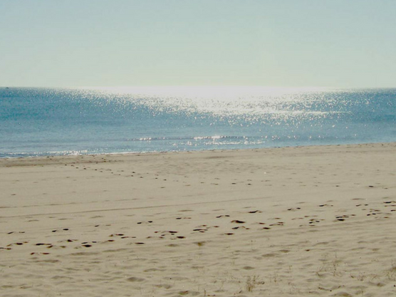 playas de valencia