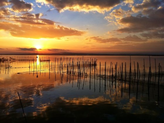 mejores-lugares-para-ver-el-atardecer-albufera-muchosol