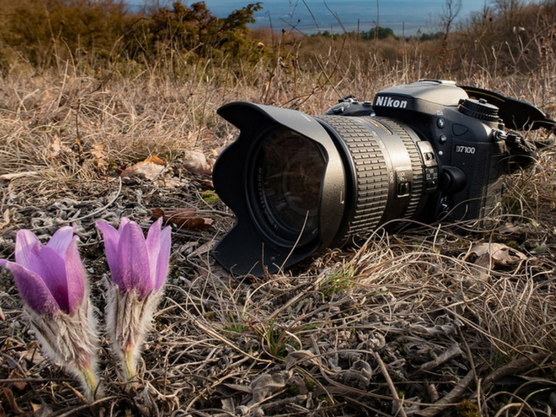 ☘¿Qué cámara de fotos comprar? ¿Réflex, Mirrorless o Compacta? 