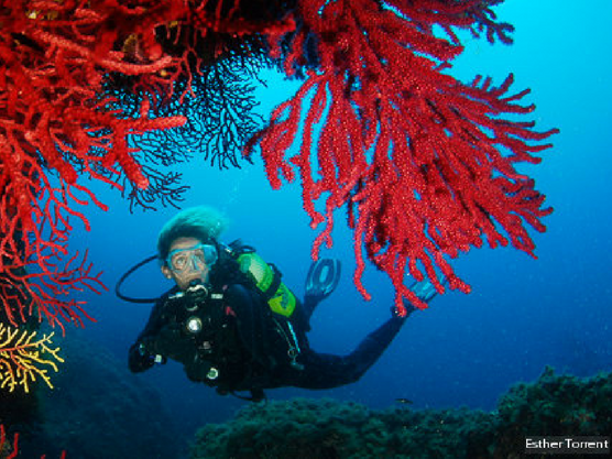 mujer practicando buceo en Roses