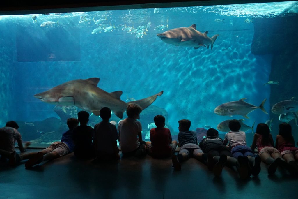 sevilla-con-niños-acuario