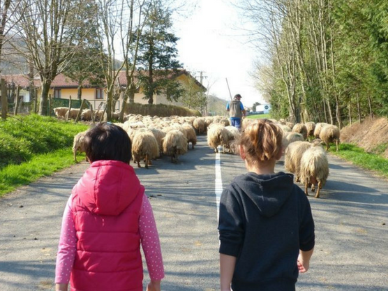 Parte del clan de Bekerreke disfrutando de la naturaleza