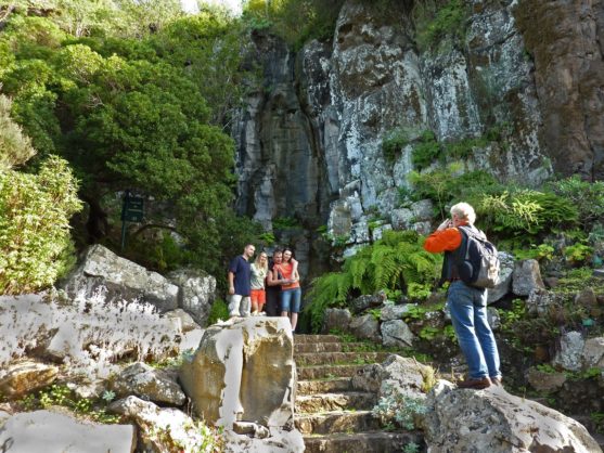 gran-canaria-con-niños-jardin-botanico-muchosol