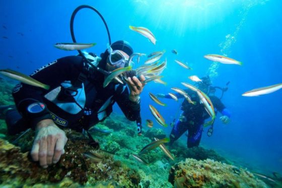 experiencias-para vivir-antes-de-cumplir-los-50-vela-luka-muchosol