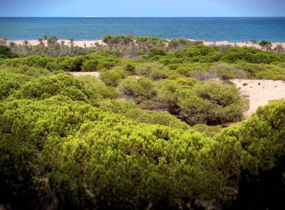 pueblos-de-la-costa-blanca-Guardamar-muchosol