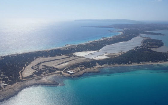 ibiza-con-niños-ses-salines-muchosol