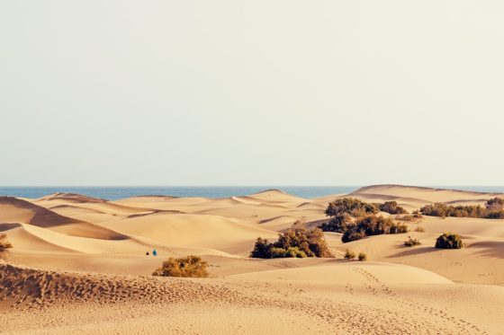 destinos-gay-friendly-maspalomas-muchosol