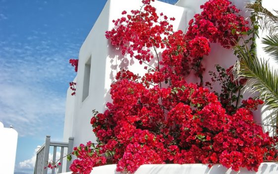 las-islas-griegas-mykonos-grecia-muchosol