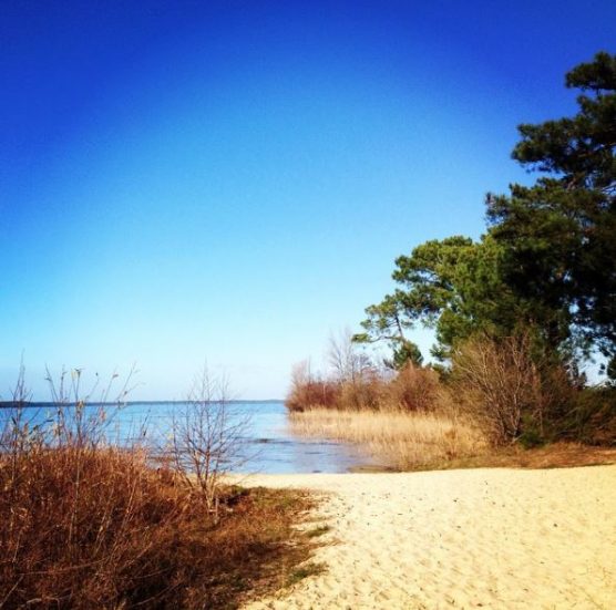 playas-de-las-landas-navarrosse-muchosol