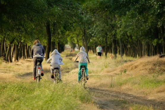 que-hacer-en-burdeos-con-bicicleta-jardin-muchosol