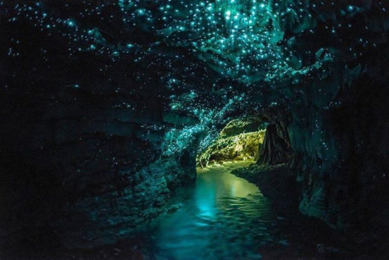 lugares-mas-bonitos-del-mundo-waitomo-muchosol