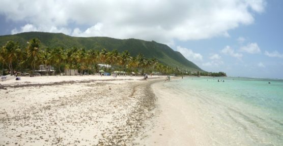 destinos-de-invierno-guadalupe-muchosol