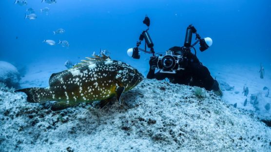 como-ir-de-lanzarote-a-la-graciosa-buceo-muchosol