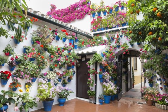 ciudades-con-flores-cordoba