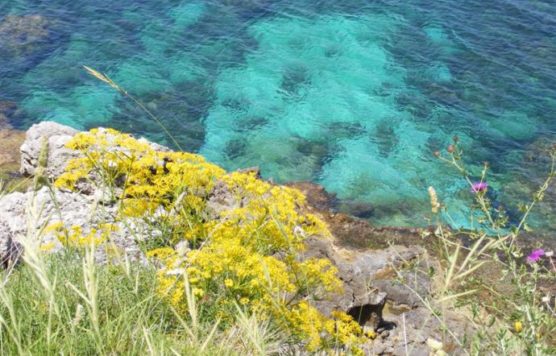 playas-nudistas-de-Sicilia-gallo