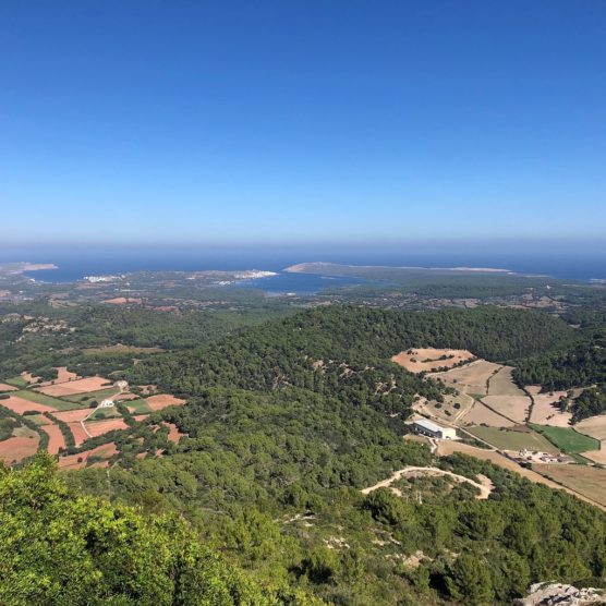 menorca-en-3-dias-toro